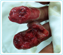 bevictor伟德官网-韦德官方网站