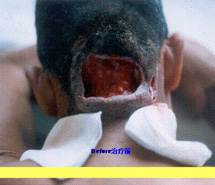 bevictor伟德官网-韦德官方网站