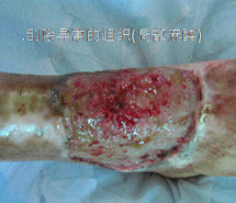 bevictor伟德官网-韦德官方网站