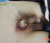 bevictor伟德官网-韦德官方网站