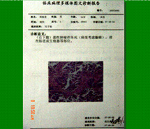 bevictor伟德官网-韦德官方网站