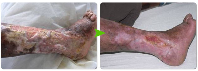 bevictor伟德官网-韦德官方网站