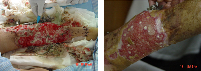 bevictor伟德官网-韦德官方网站