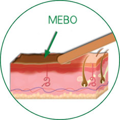 bevictor伟德官网-韦德官方网站