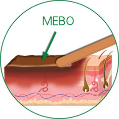 bevictor伟德官网-韦德官方网站