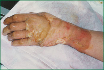 bevictor伟德官网-韦德官方网站