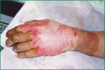 bevictor伟德官网-韦德官方网站