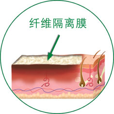bevictor伟德官网-韦德官方网站