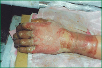 bevictor伟德官网-韦德官方网站