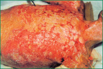 bevictor伟德官网-韦德官方网站