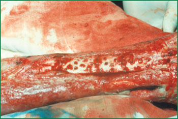 bevictor伟德官网-韦德官方网站