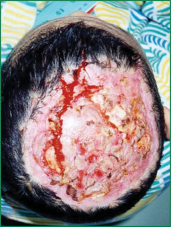 bevictor伟德官网-韦德官方网站