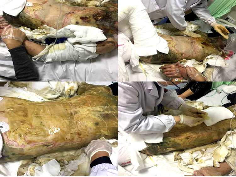 bevictor伟德官网-韦德官方网站