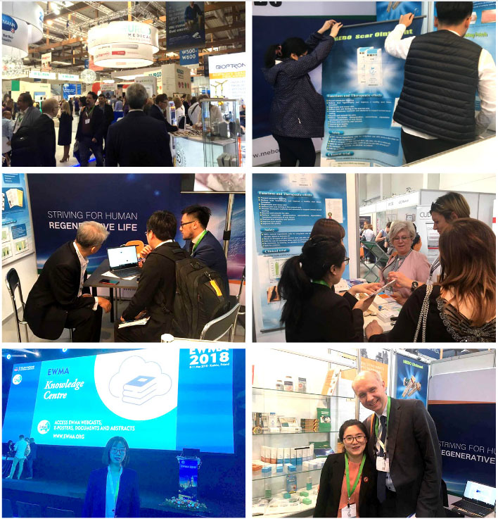 bevictor伟德官网-韦德官方网站