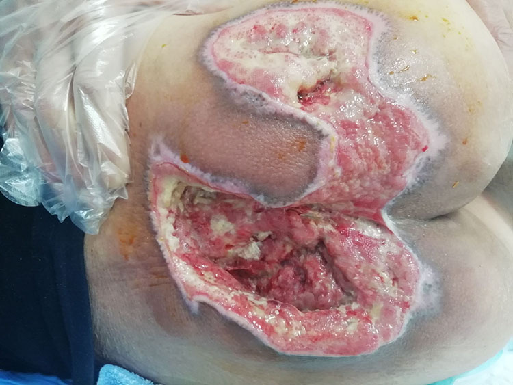 bevictor伟德官网-韦德官方网站