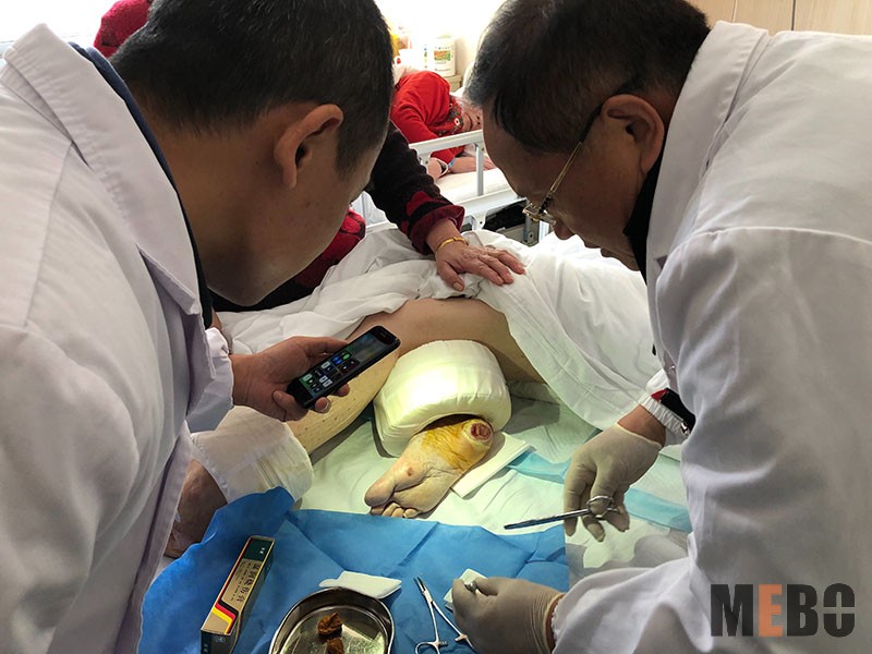 bevictor伟德官网-韦德官方网站