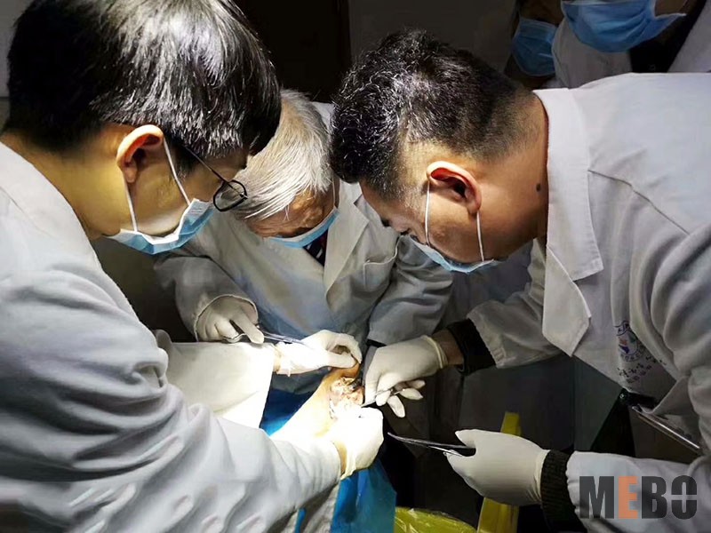 bevictor伟德官网-韦德官方网站