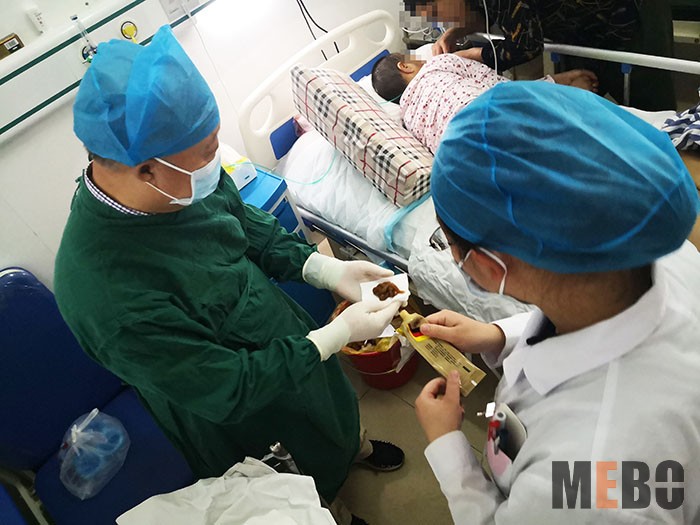 bevictor伟德官网-韦德官方网站