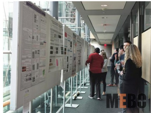 bevictor伟德官网-韦德官方网站