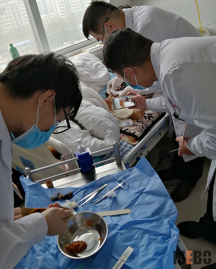 bevictor伟德官网-韦德官方网站