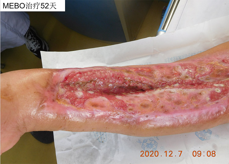 bevictor伟德官网-韦德官方网站