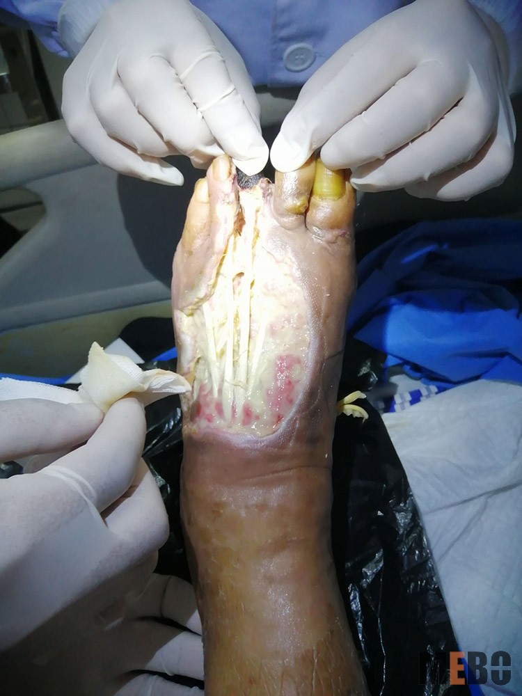 bevictor伟德官网-韦德官方网站