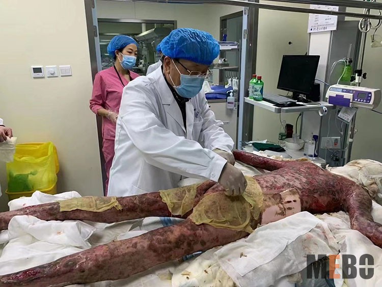 bevictor伟德官网-韦德官方网站