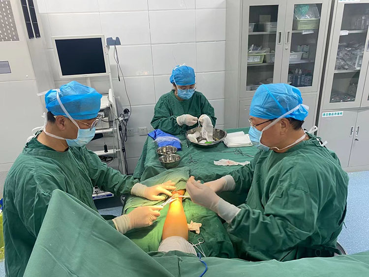 bevictor伟德官网-韦德官方网站