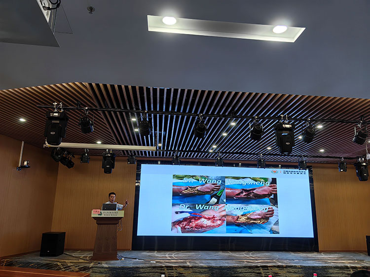 bevictor伟德官网-韦德官方网站