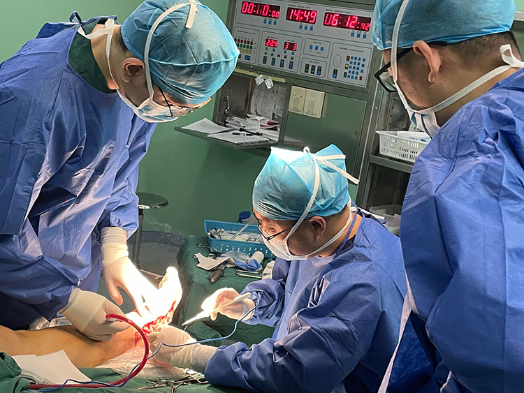 bevictor伟德官网-韦德官方网站