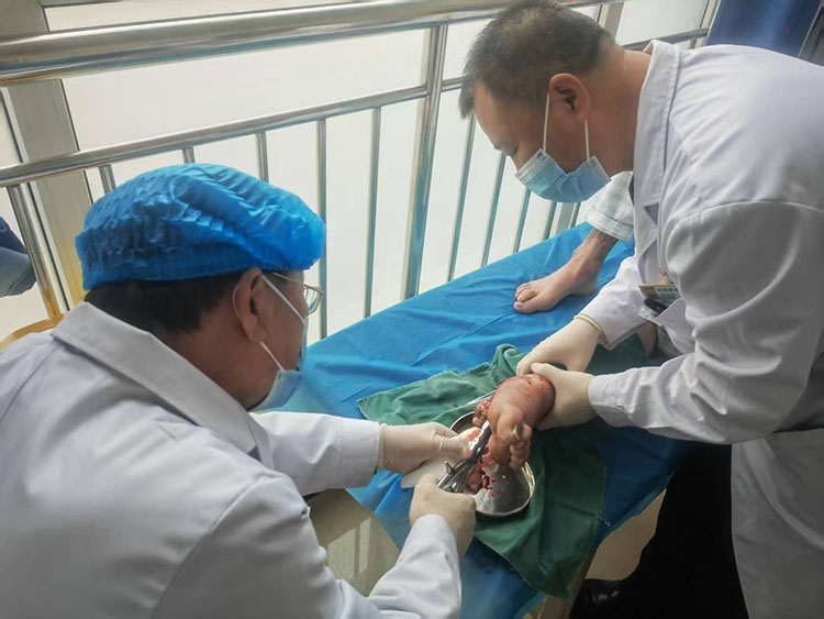 bevictor伟德官网-韦德官方网站