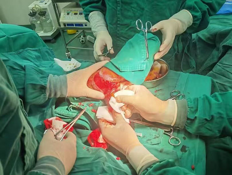 bevictor伟德官网-韦德官方网站