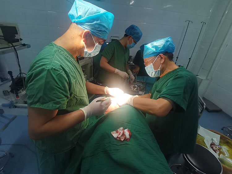 bevictor伟德官网-韦德官方网站