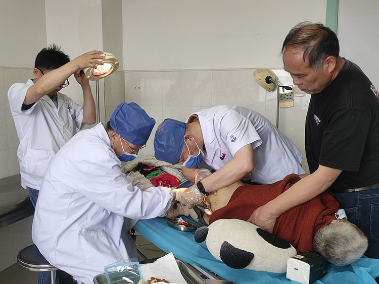 bevictor伟德官网-韦德官方网站