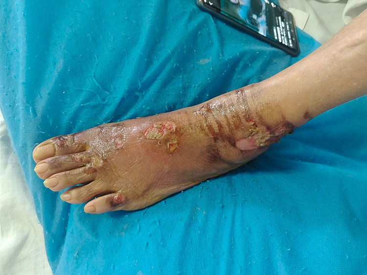 bevictor伟德官网-韦德官方网站