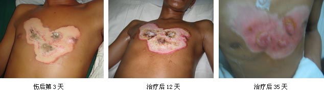 bevictor伟德官网-韦德官方网站