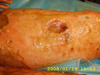 bevictor伟德官网-韦德官方网站