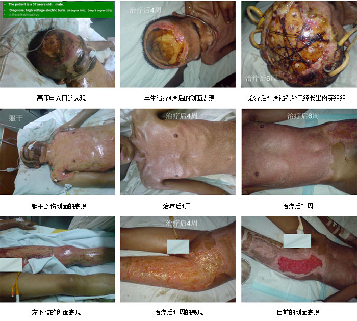 bevictor伟德官网-韦德官方网站