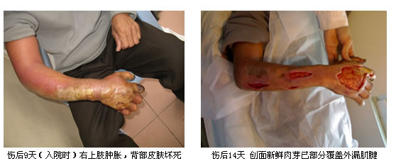 bevictor伟德官网-韦德官方网站