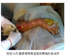 bevictor伟德官网-韦德官方网站