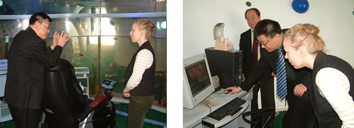 bevictor伟德官网-韦德官方网站