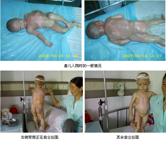 bevictor伟德官网-韦德官方网站