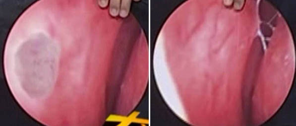 bevictor伟德官网-韦德官方网站