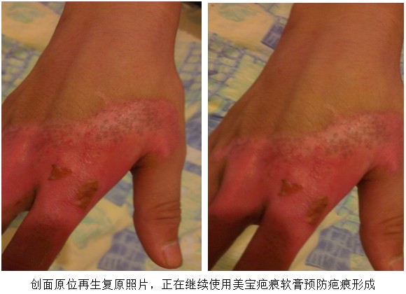 bevictor伟德官网-韦德官方网站