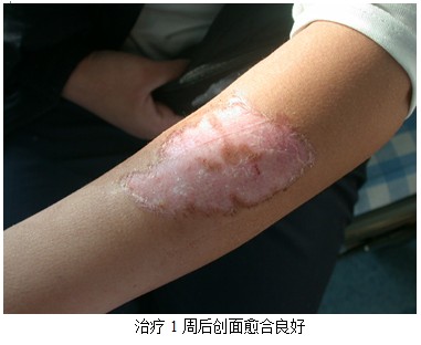 bevictor伟德官网-韦德官方网站