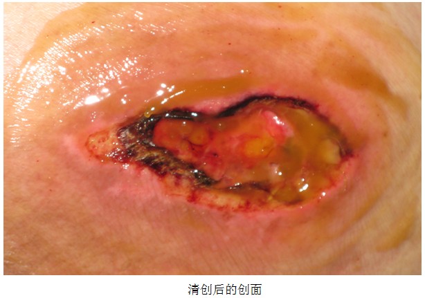 bevictor伟德官网-韦德官方网站