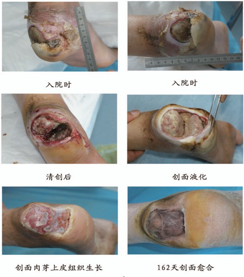 bevictor伟德官网-韦德官方网站