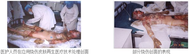 bevictor伟德官网-韦德官方网站