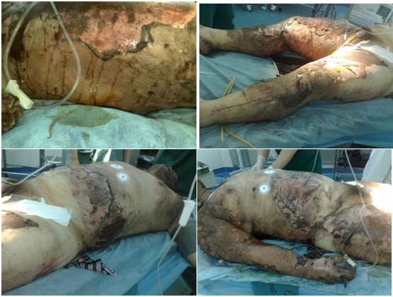 bevictor伟德官网-韦德官方网站