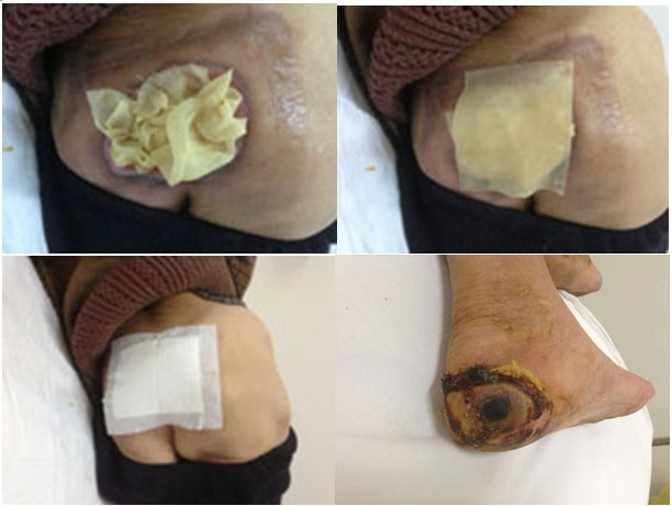 bevictor伟德官网-韦德官方网站